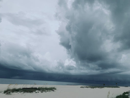 After the Deluge: Where Mississippi Gulf Coast Fish Go After Heavy Rain